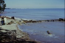 View north along the beach